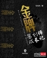 金牌策划师成长记封面