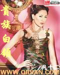 貴族白領