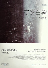 守岁白驹封面