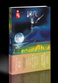 锦夜2封面