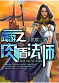 网游之肉盾法师封面