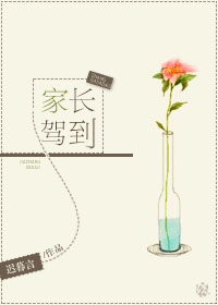 �ҳ��ݵ�����