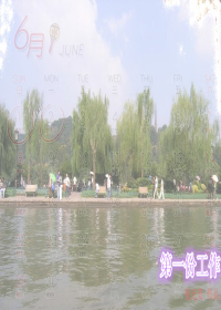 ��һ�ݹ�������