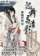 起舞弄清影封面