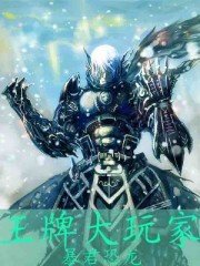 牌大玩家封面