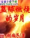 篮球燃烧的岁月封面