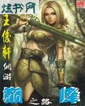 网游巅峰之路封面