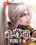 武尊道封面