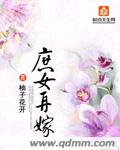 庶女再嫁封面