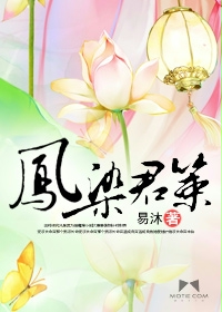 凤染君策封面