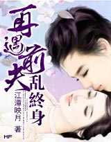 再遇前夫乱终生封面