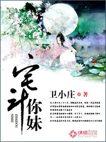 宅斗你妹封面