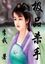 极品杀手封面