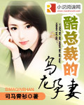 酷总裁的乌龙孕妻封面