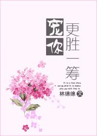 宠你更胜一筹封面