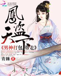 凤盗天下:男神打包带走封面