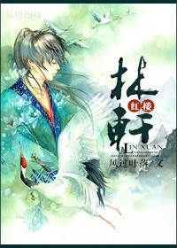 红楼之林轩封面