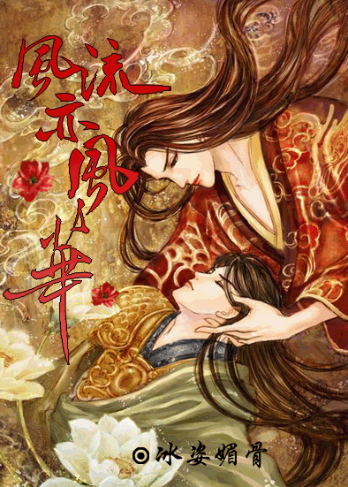 风流亦风华封面