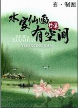 水家仙画有空间封面