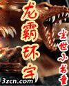 龙霸环宇封面