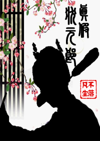 真假状元郎封面