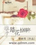 谁予踏花拾锦年封面